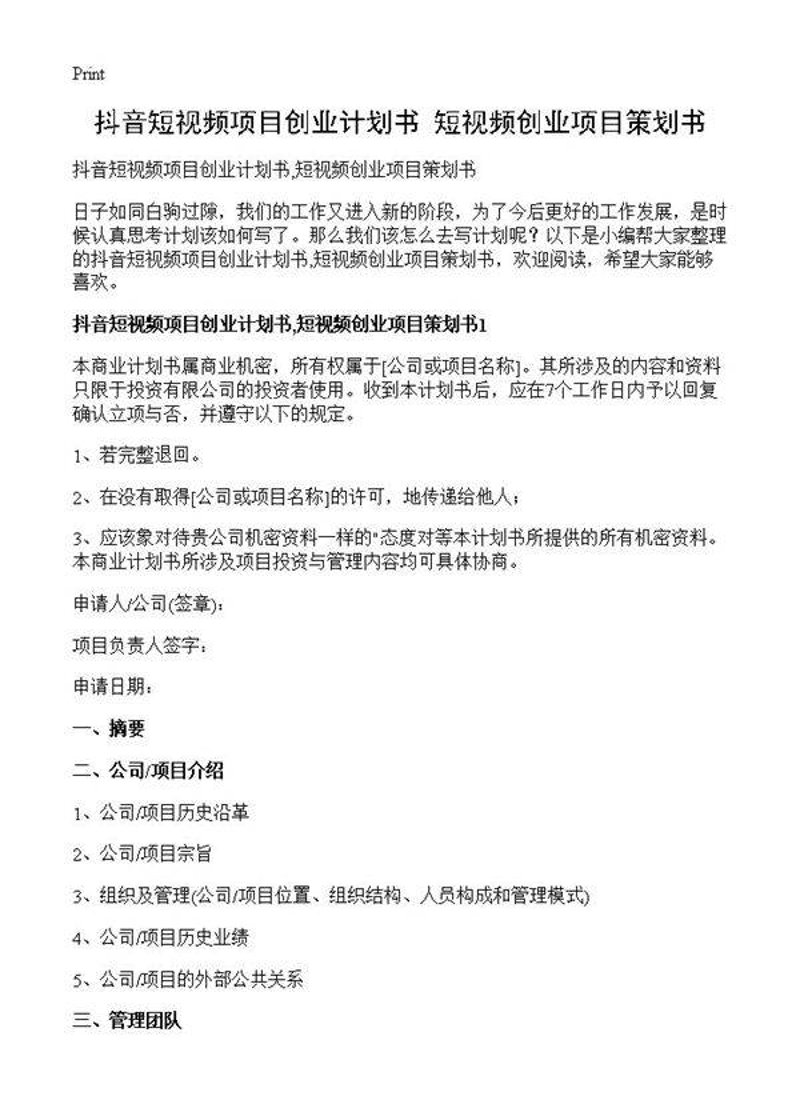 项目投资策划